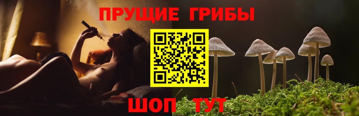 Галлюциногенные грибы мицелий  Псилоцибиновые грибы Psilocybe  Вход с VPN  Красноармейск 